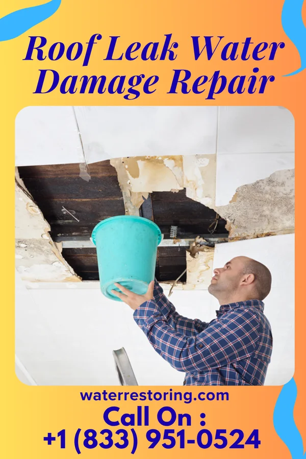 Roof Leak Water Damage Repair in Dyer, AR